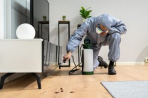 Domestic pest control