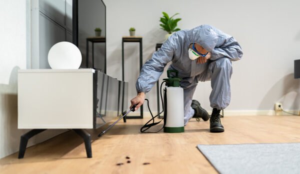 Domestic pest control