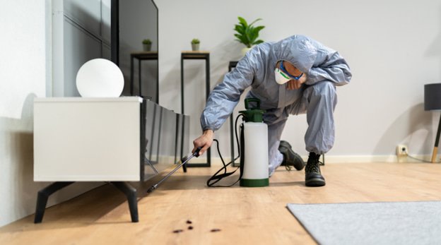 Domestic pest control